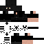 Texture for otes1