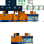 Texture for Niruky5