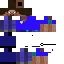 Texture for Steve guard