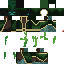 Texture for Anomaly 817