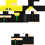 Texture for Nyal_TCS