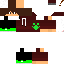 Texture for thyalasson game