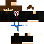 Texture for shardpie3