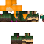 Texture for alice