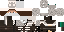 Texture for custom skin