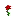 Texture for rose
