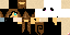 Texture for fixed ninja cat