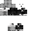 Texture for John koala