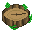 Texture for natures_compass_23