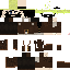 Texture for LOnk hat