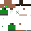 Texture for foxy