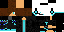 Texture for ladaliska