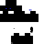 Texture for 2sa