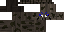 Texture for Spider