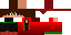 Texture for Misca Isca