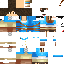 Texture for LInkHy
