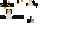 Texture for Penguin test 1