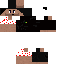Texture for snowSkin