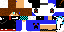 Texture for dsdwt