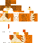 Texture for hawk 1