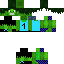 Texture for WC1234