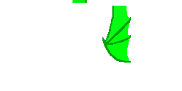 Texture for Gylistcks Animations´s Wings