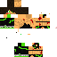 Texture for :v