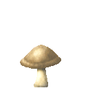 Texture for mushroom