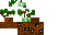 Texture for sylvain