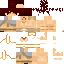 Texture for nyu
