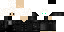 Texture for Stallius