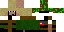 Texture for sam