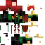 Texture for sss