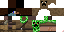 Texture for creeper 2n