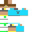 Texture for DENSE