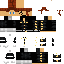 Texture for 334p