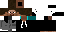 Texture for Steve