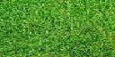 Texture for creeper future 956.4634254.38566 ultimate version carge 2