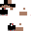 Texture for Rex