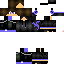 Texture for Robin