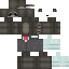 Texture for c: