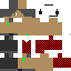Texture for ds