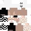 Texture for 猫