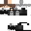 Texture for v2