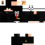Texture for Shevchenko