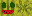 Texture for Smile Melone
