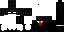 Texture for ender facha