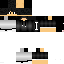 Texture for IdelogicFir_YT