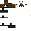 Texture for Bandit_Colin