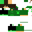 Texture for Feliver